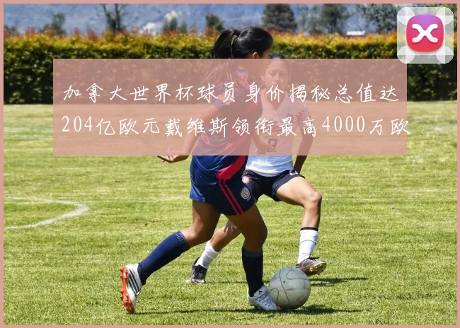 加拿大世界杯球员身价揭秘总值达204亿欧元戴维斯领衔最高4000万欧